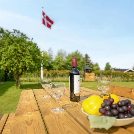 Holiday home Tican - 400m From The Sea In Se Jutland By Interhome *